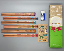 Load image into Gallery viewer, Tombow ‘Hello Nature’ Gift Set 2B
